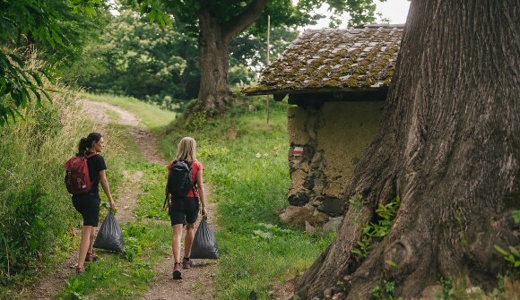 Azione di raccolta rifiuti