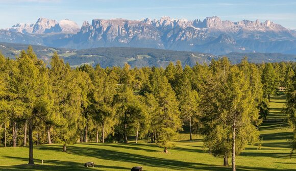 Sulle tracce dei prati dei larici