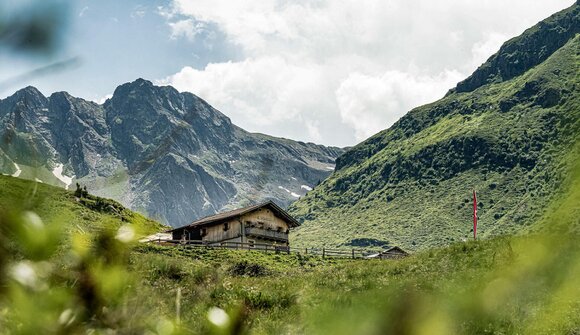 Guided hike: Malga Ebenberg