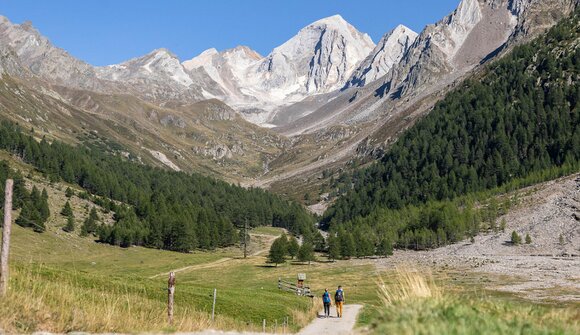 Escursione "Val di Fosse - Malga Eishof"