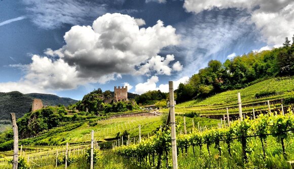 Mercoledì in tour: Sentiero di Dürer