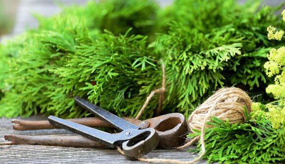 Creare decorazioni naturali