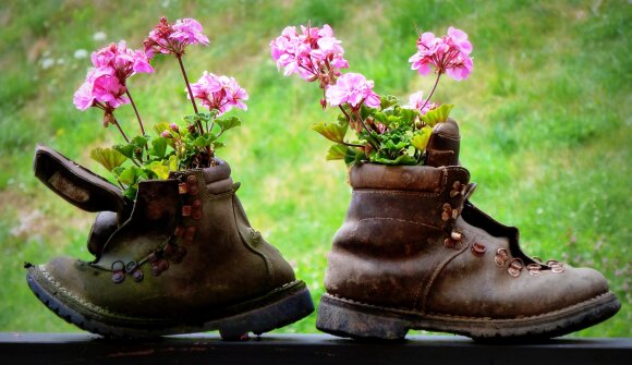 Trekking Rosa - Escursione consapevole