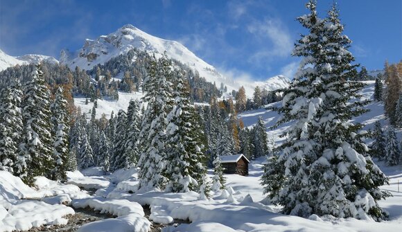 Schneeschuhwanderung "Zendleser Kofel"