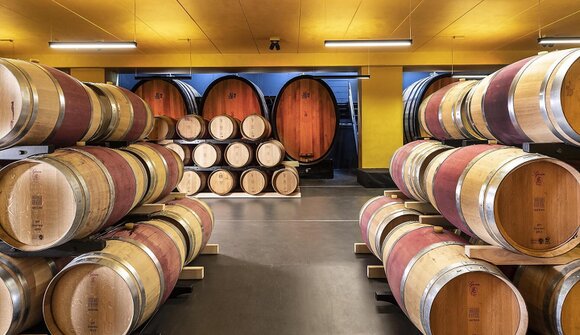 Wine & Design - Führung und Verkostung