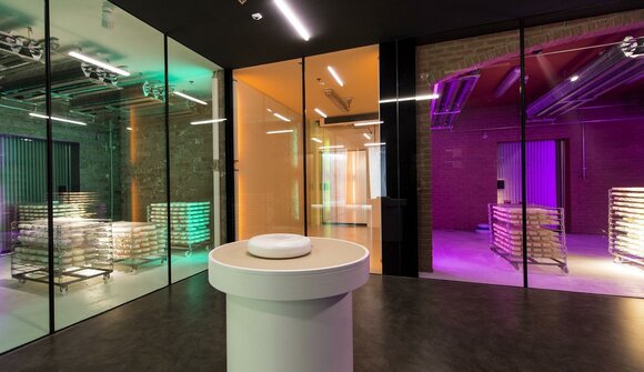 Visita guidata al Museo del Formaggio