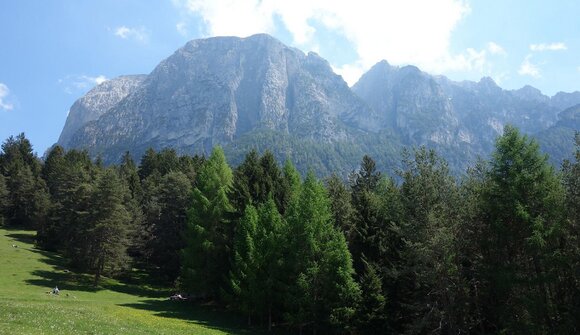 Dwarf Purzinigele & Hermit Migg