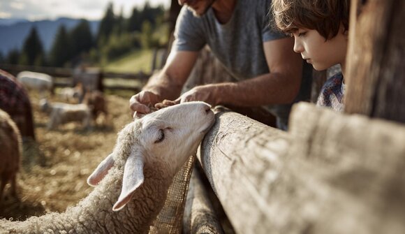 Animals, Barn & Warm Hearts