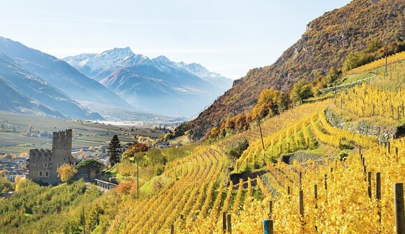 Mercoledì in tour: "Rittersteig"