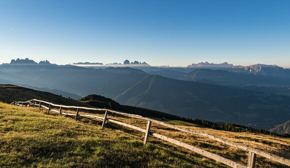Escursione tra fiori e erbe alpine