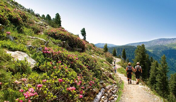 Geführte Wanderung in Reinswald