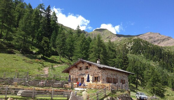 Guided hike: Hohfmahd - malga Luco