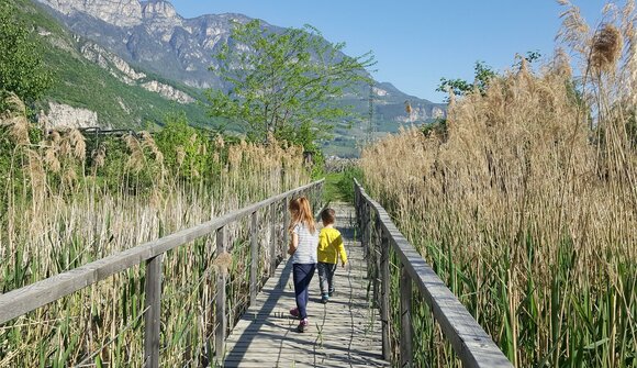 Tour di scoperta per bambini