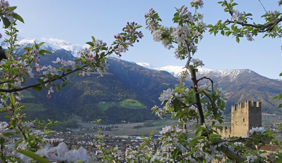 Passeggiata di primavera a Naturno