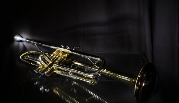 Live Musik mit Alleinunterhalter Erich 