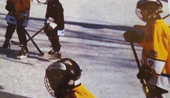 Ice Hockey Trial Lessons