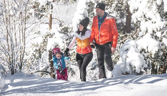 Guided winter alm hike