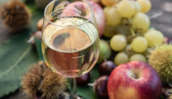 Harvest Festival in Vipiteno