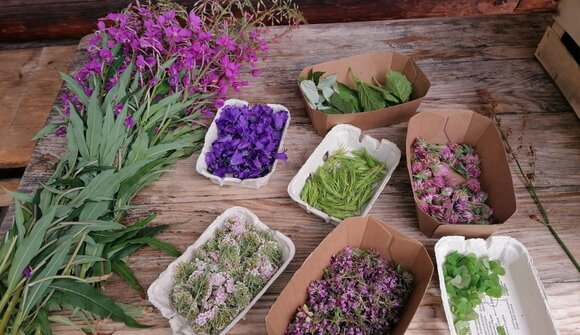 Avventura nella natura per la famiglia