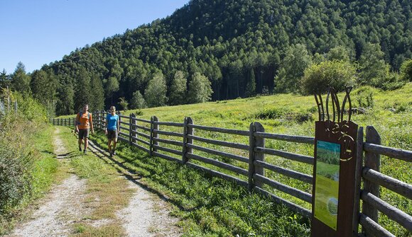 Panoramic hike Tabland