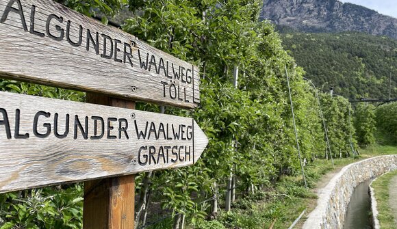 Mercoledì in tour: Sentiero delle Rogge