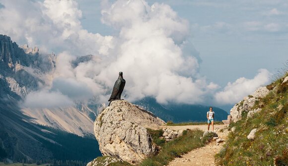 Escursione panoramica al Catinaccio