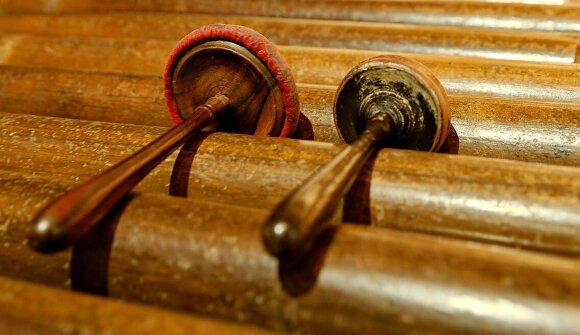 Wir bauen ein lustiges Musikinstrument