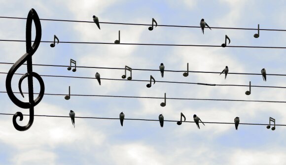 Singen, weil es Freude macht