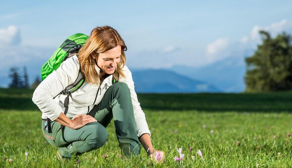 Wildkräuterwanderung