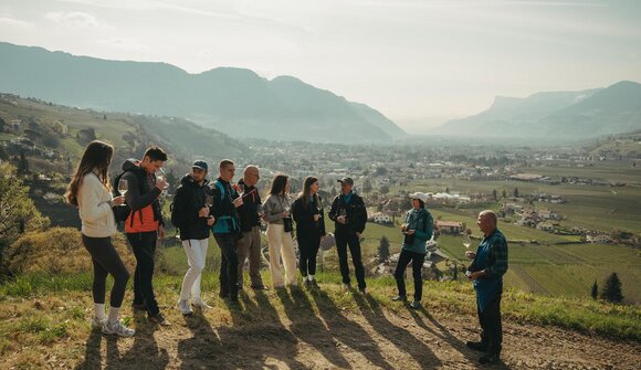 Weinbergführung: Von der Rebe ins Glas