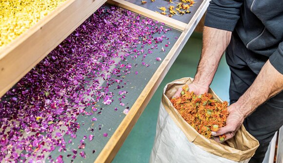 Erlebnis Alpenkräuter - Botenhof