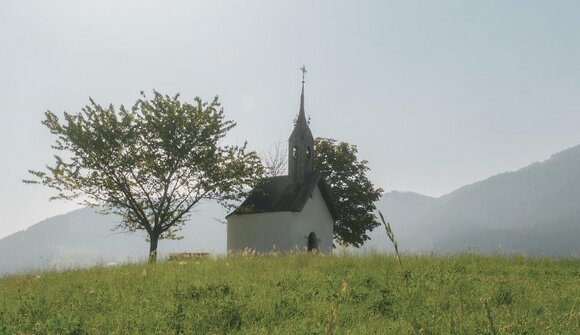 Natur, Hof & Genuss - Lechnerhof