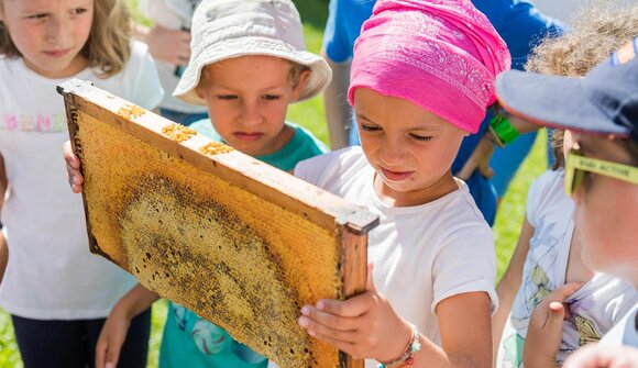 Miniature Worlds and Busy Bees