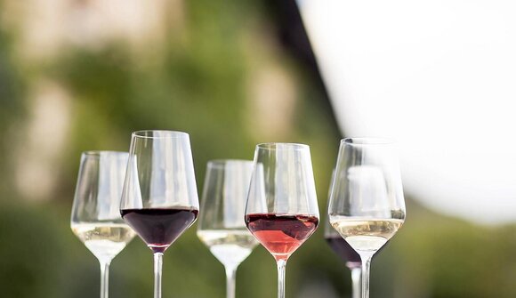 Das vertiefende Wein-ABC