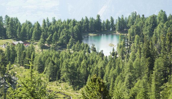 Shuttle: Alte Säge/Freiberg - Naturno