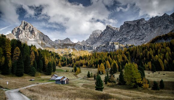 Visita guidata: Museo Ladino Fassa