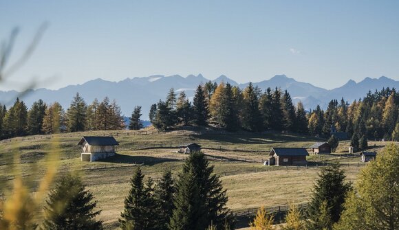 Autentiche storie di malga