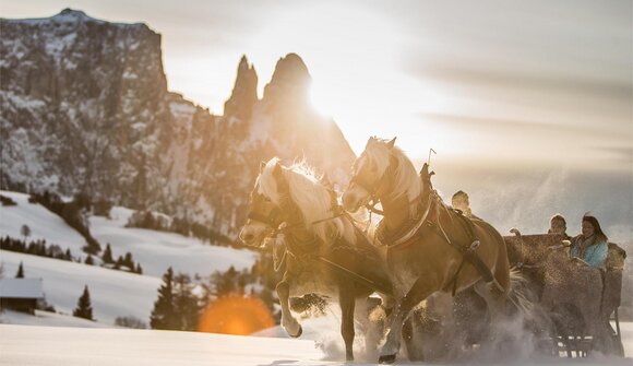 Pure romance on Alpe di Siusi