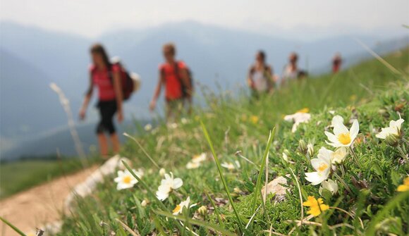 Wandern am Fuße des Rosengarten