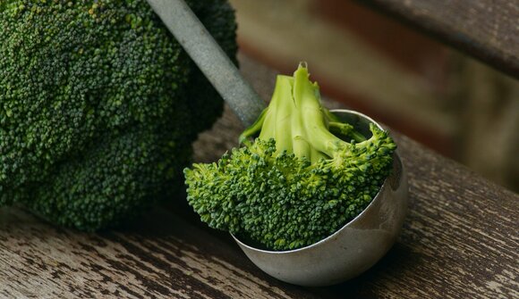 Brokkoli Fest in Torbole