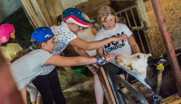 Kids Active - Exciting farm life