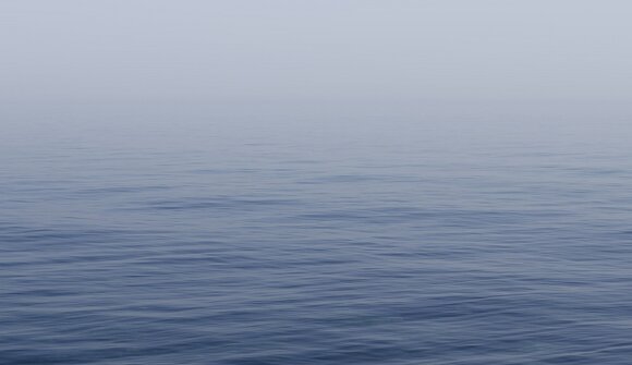 Forest and meadow hike