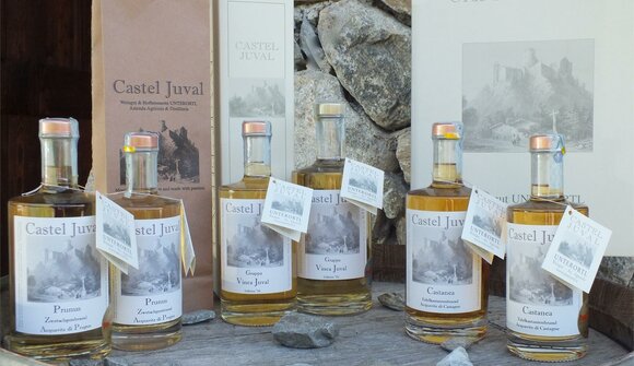 Brandy tasting: Unterortl Distillery