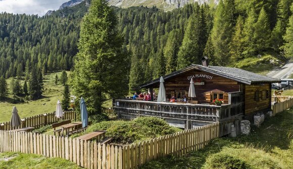 Excursion on the alp farm