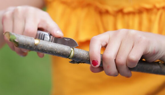 Moidnwischpilar schnitzen