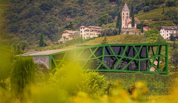 Visita guidata: Cantina di Termeno