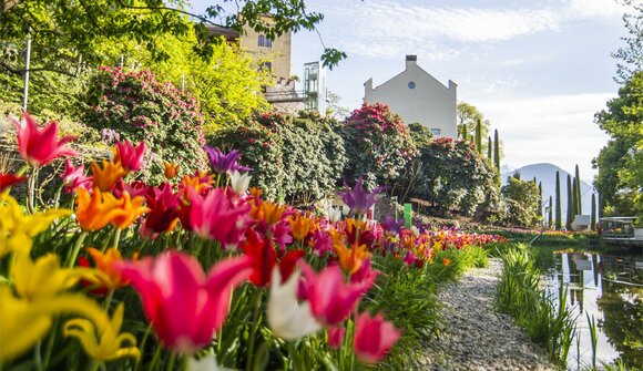 Botanical treasure hunt
