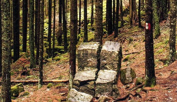 Camminare - Cultura - Natura