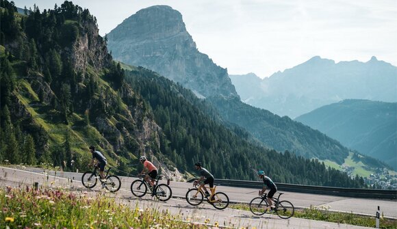 Tour guidato in bici da corsa
