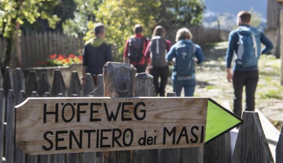 Genusswanderung am Oachner Höfeweg